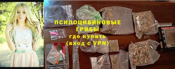 МДПВ Алексеевка