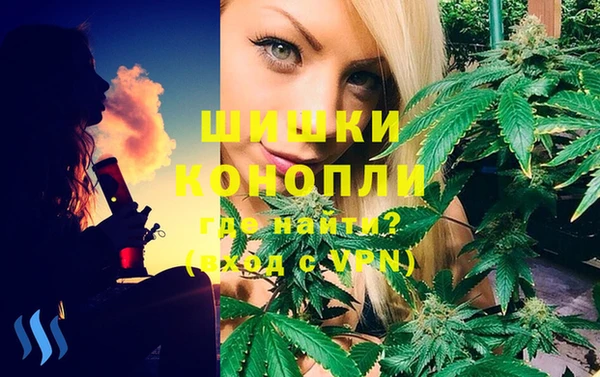 МДПВ Алексеевка
