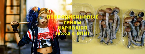 МДПВ Алексеевка